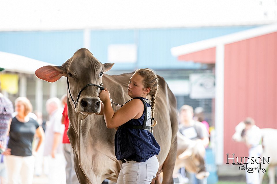 LCFAIR-081518-3202.jpg