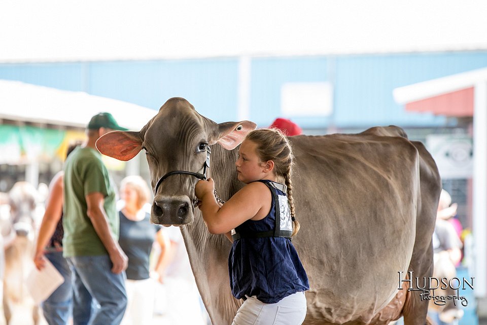 LCFAIR-081518-3203.jpg