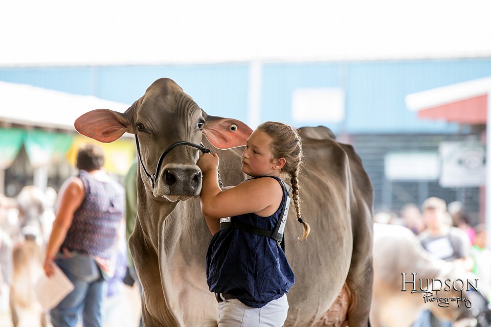 LCFAIR-081518-3204.jpg