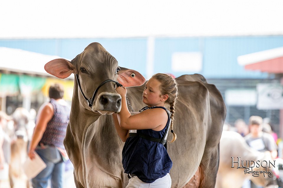 LCFAIR-081518-3205.jpg