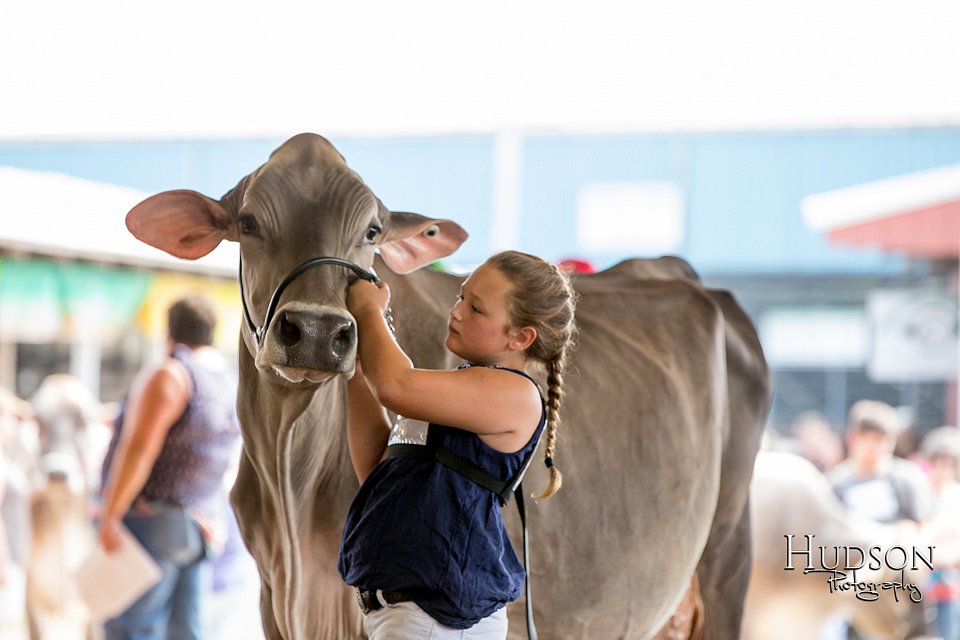 LCFAIR-081518-3206.jpg