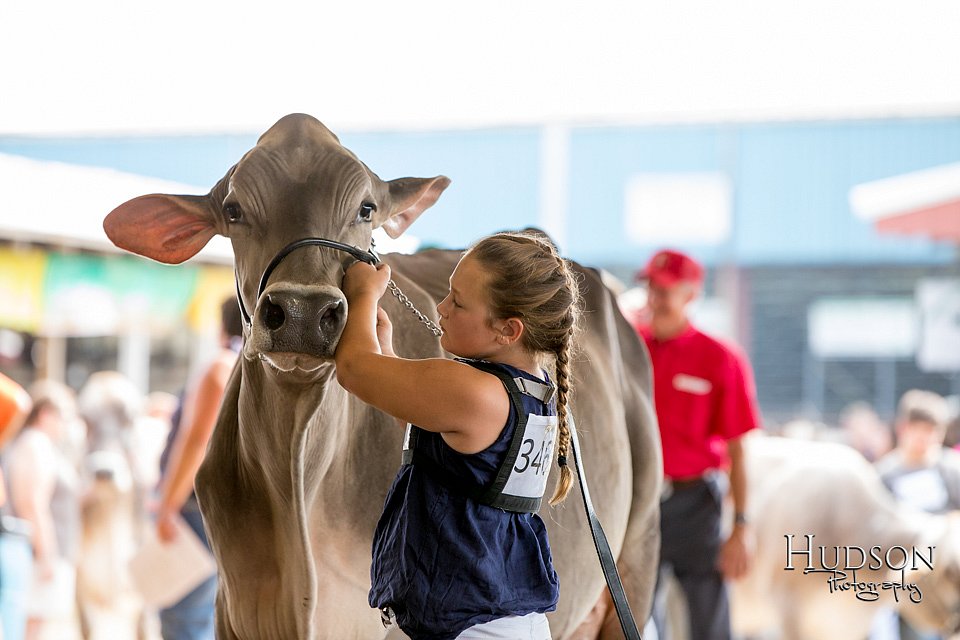 LCFAIR-081518-3207.jpg