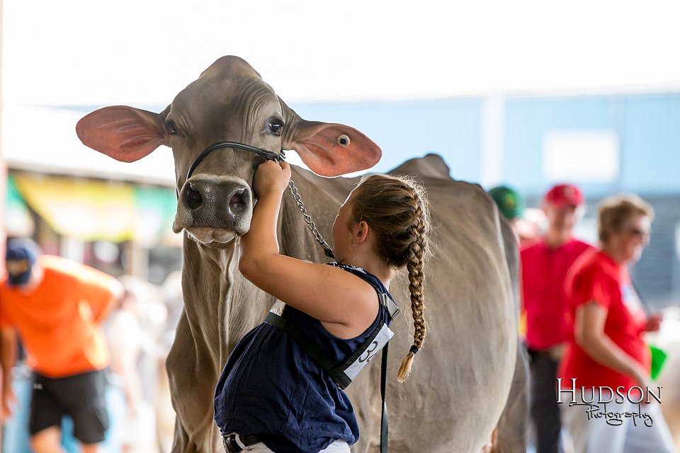 LCFAIR-081518-3208.jpg