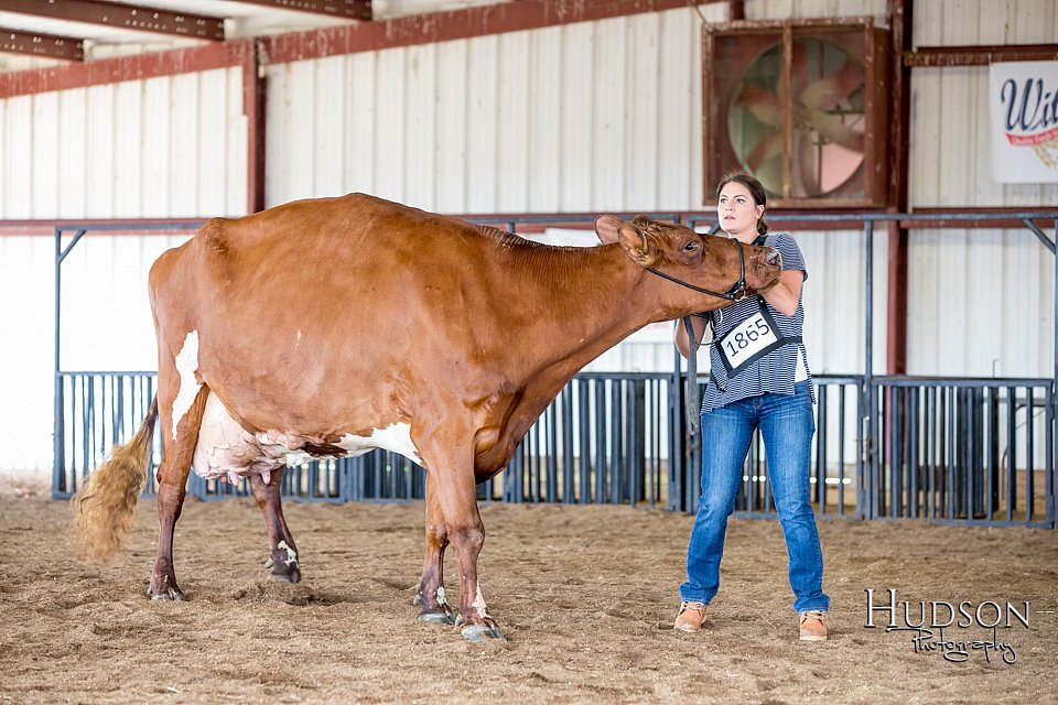 LCFAIR-081518-3209.jpg