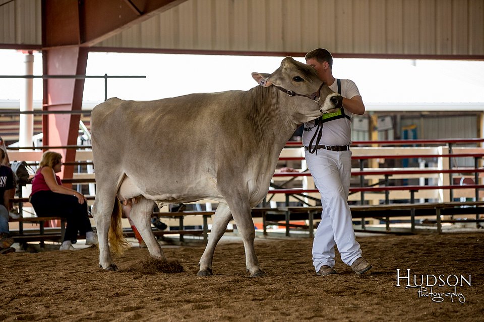 LCFAIR-081518-3211.jpg
