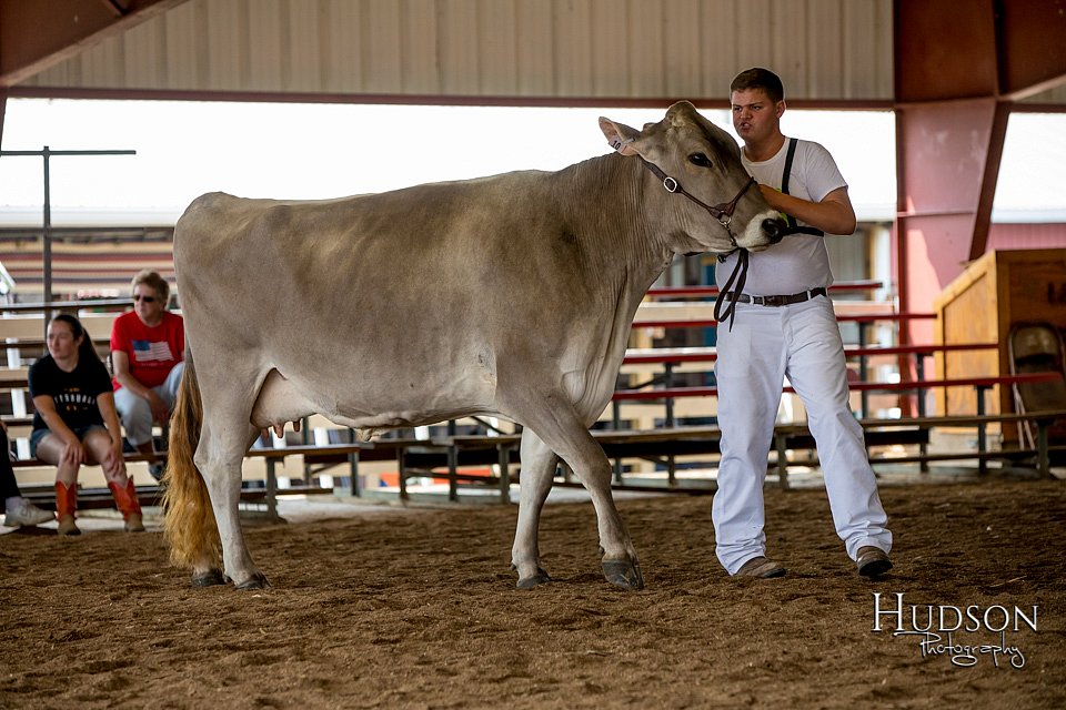 LCFAIR-081518-3212.jpg