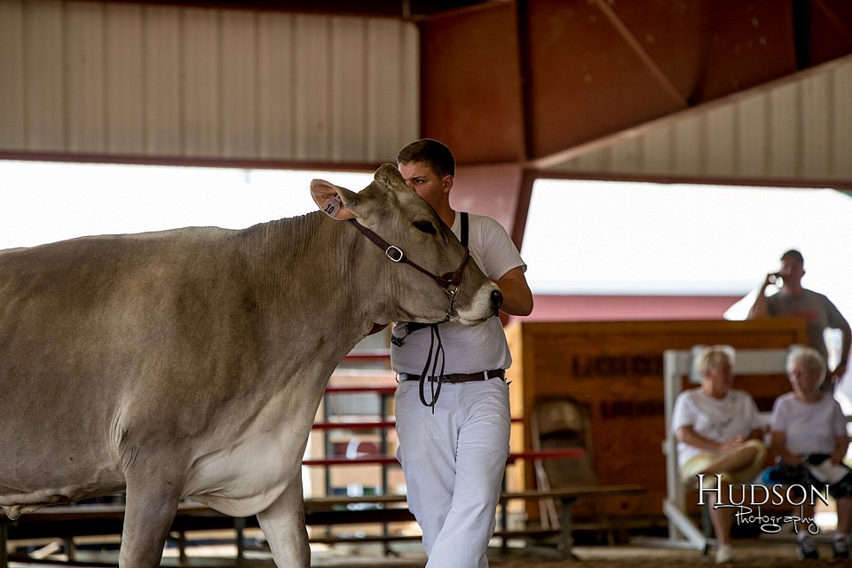 LCFAIR-081518-3213.jpg