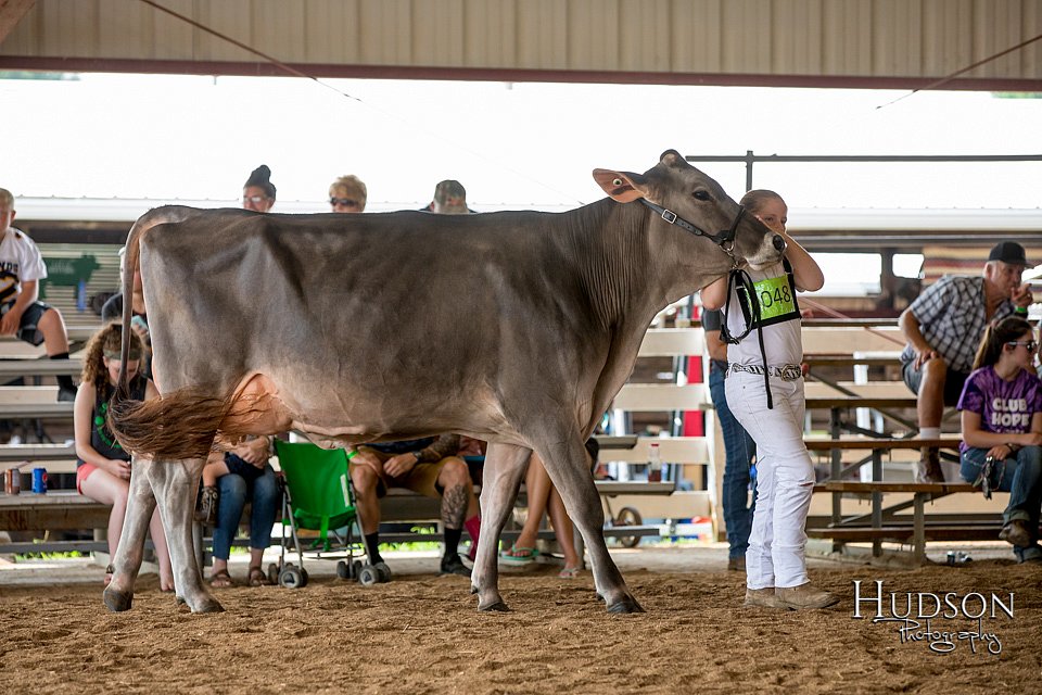 LCFAIR-081518-3214.jpg