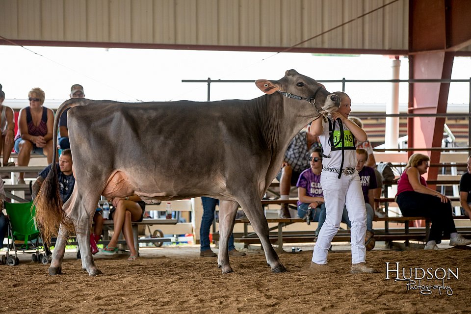 LCFAIR-081518-3215.jpg