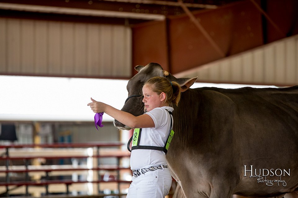 LCFAIR-081518-3217.jpg