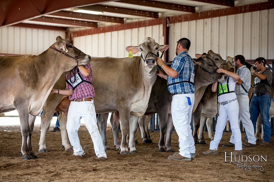 LCFAIR-081518-3220.jpg