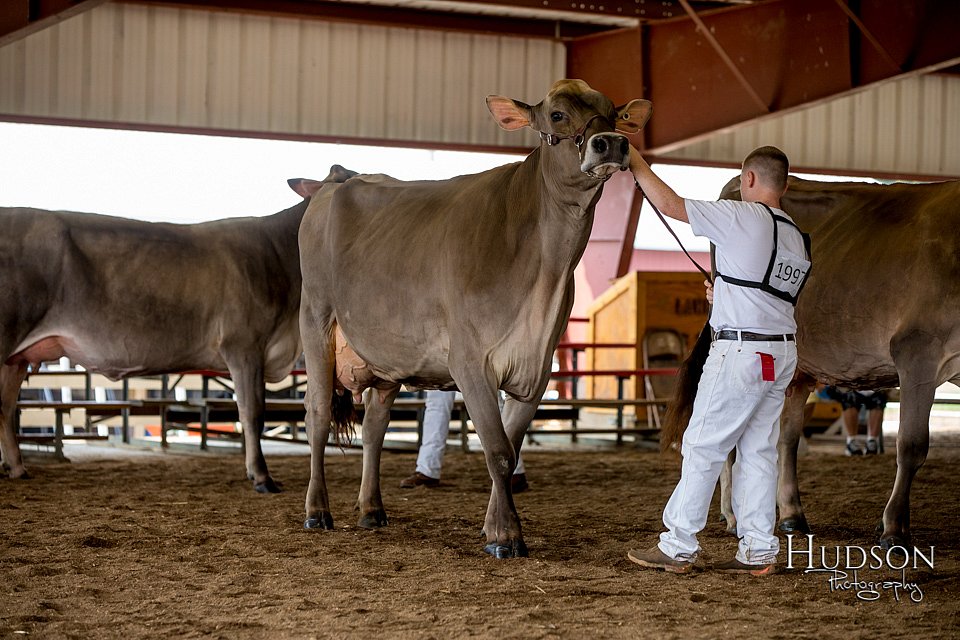 LCFAIR-081518-3221.jpg