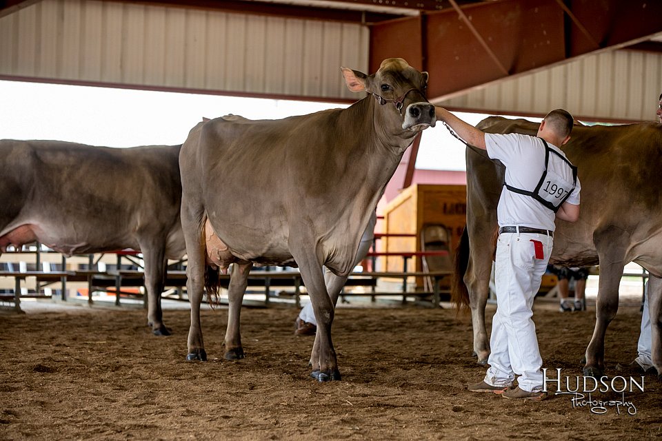 LCFAIR-081518-3222.jpg