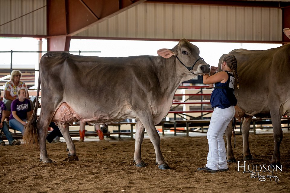 LCFAIR-081518-3223.jpg