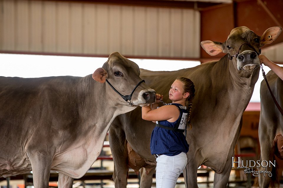 LCFAIR-081518-3225.jpg