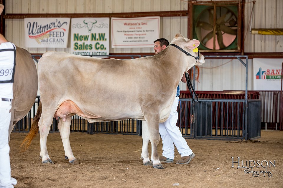 LCFAIR-081518-3229.jpg