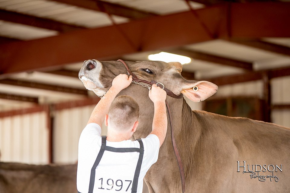 LCFAIR-081518-3230.jpg