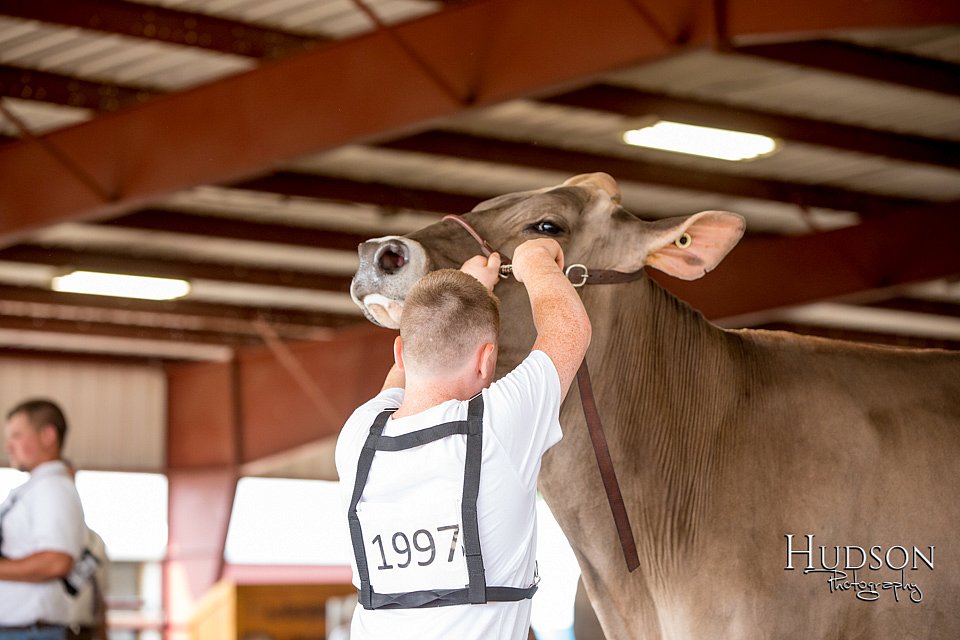 LCFAIR-081518-3231.jpg