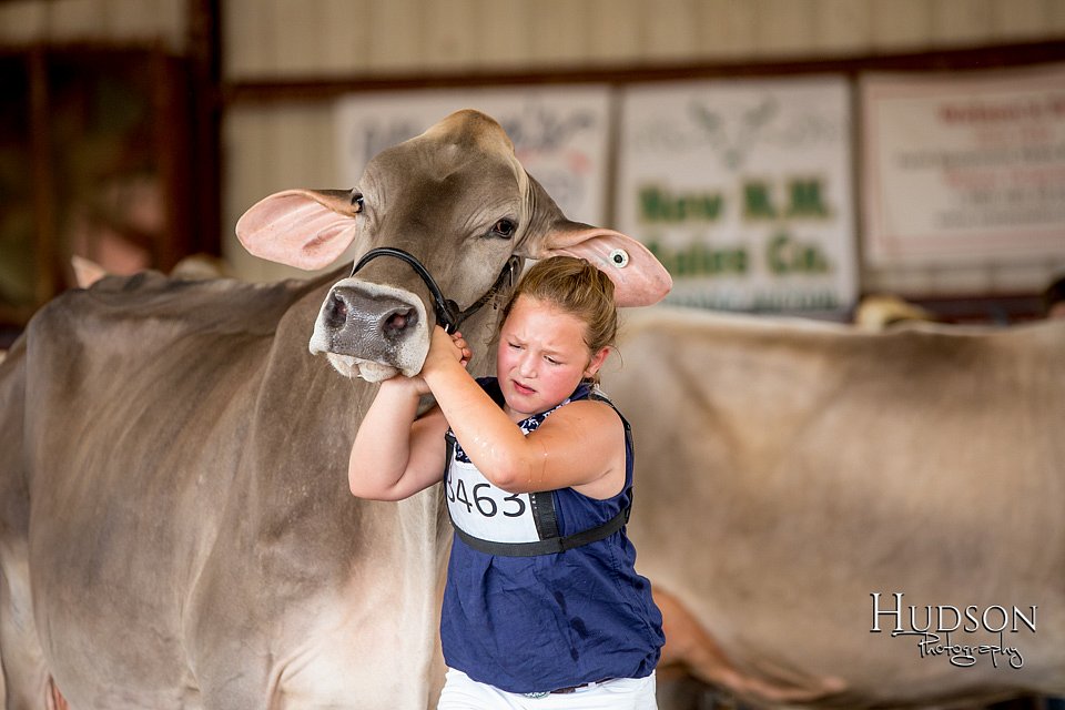 LCFAIR-081518-3236.jpg