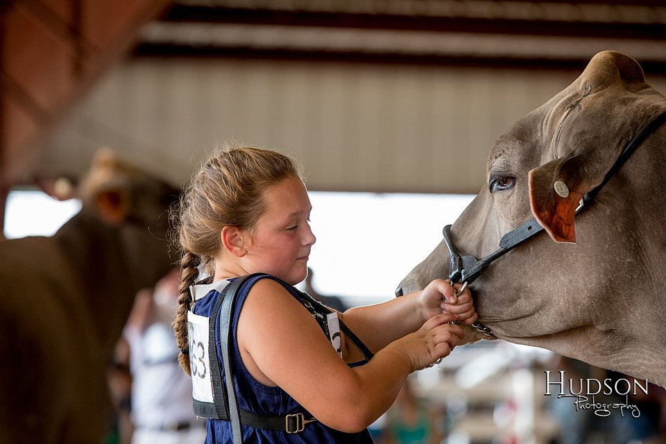 LCFAIR-081518-3241.jpg