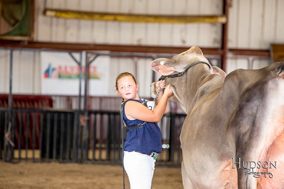 LCFAIR-081518-3243.jpg