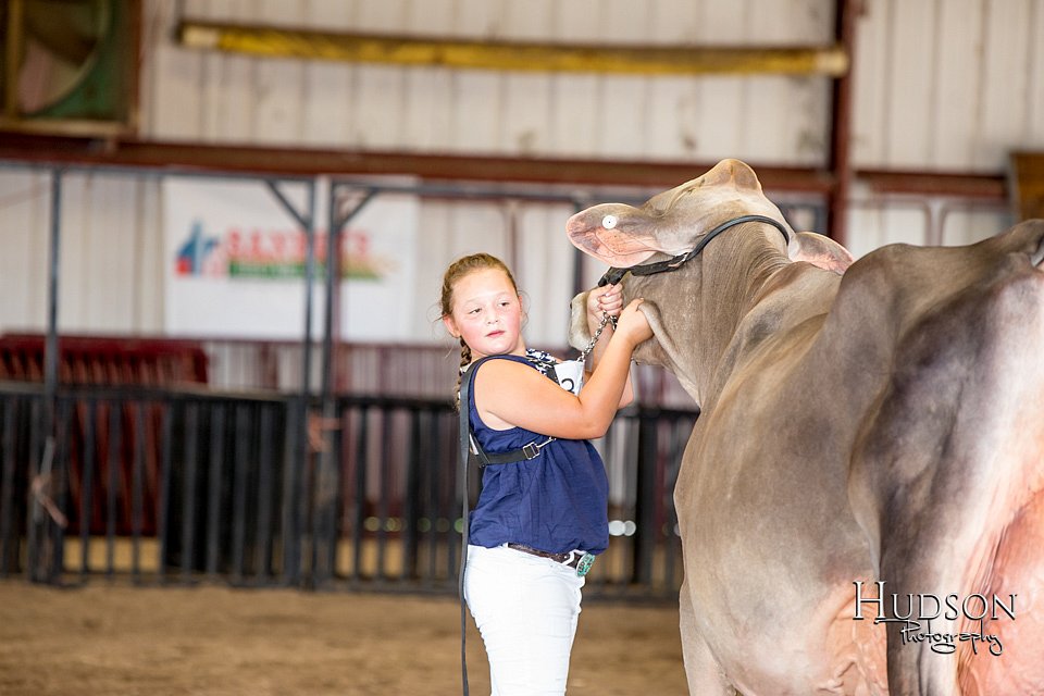 LCFAIR-081518-3244.jpg
