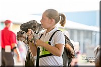 LCFAIR-081518-2939.jpg