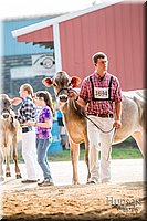 LCFAIR-081518-2997.jpg