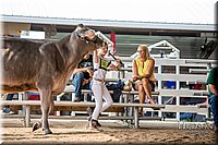 LCFAIR-081518-3033.jpg