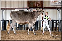 LCFAIR-081518-3038.jpg