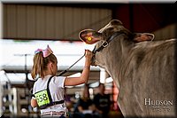 LCFAIR-081518-3051.jpg