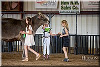 LCFAIR-081518-3056.jpg