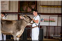 LCFAIR-081518-3076.jpg