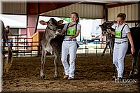 LCFAIR-081518-3085.jpg