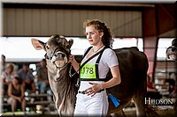 LCFAIR-081518-3086.jpg