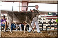 LCFAIR-081518-3087.jpg