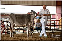 LCFAIR-081518-3089.jpg
