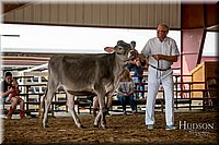 LCFAIR-081518-3090.jpg