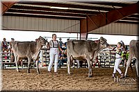 LCFAIR-081518-3091.jpg