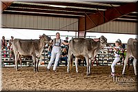 LCFAIR-081518-3094.jpg