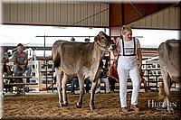 LCFAIR-081518-3095.jpg