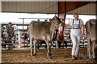 LCFAIR-081518-3097.jpg
