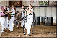 LCFAIR-081518-3099.jpg