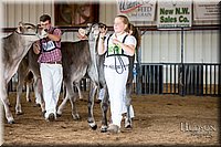 LCFAIR-081518-3100.jpg