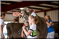 LCFAIR-081518-3106.jpg