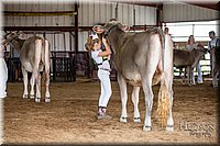 LCFAIR-081518-3109.jpg