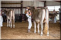 LCFAIR-081518-3110.jpg