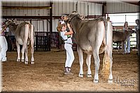 LCFAIR-081518-3111.jpg