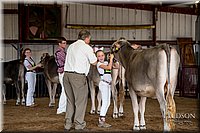 LCFAIR-081518-3114.jpg
