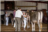 LCFAIR-081518-3115.jpg